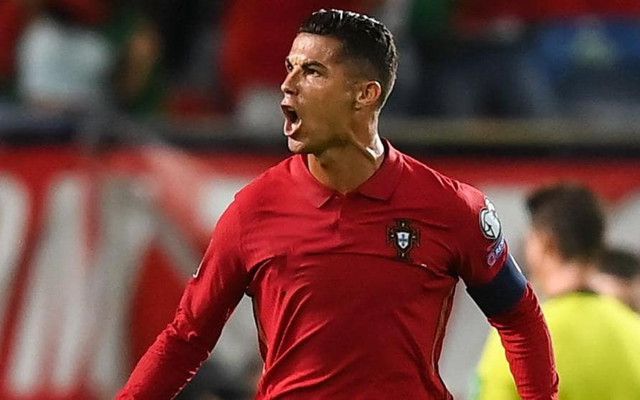 国内精品视频成人一区二区